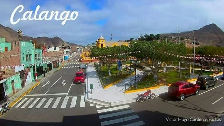 Calango