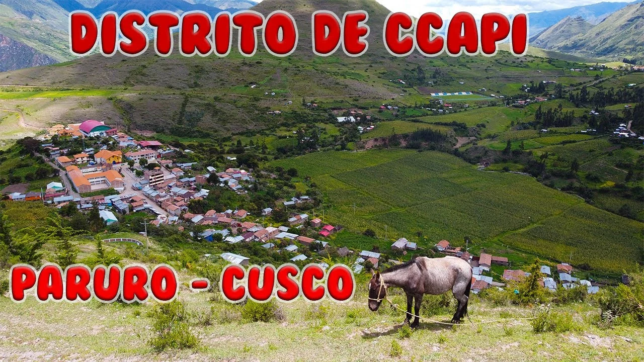 Ccapi