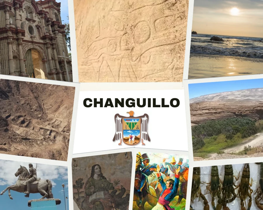 Changuillo