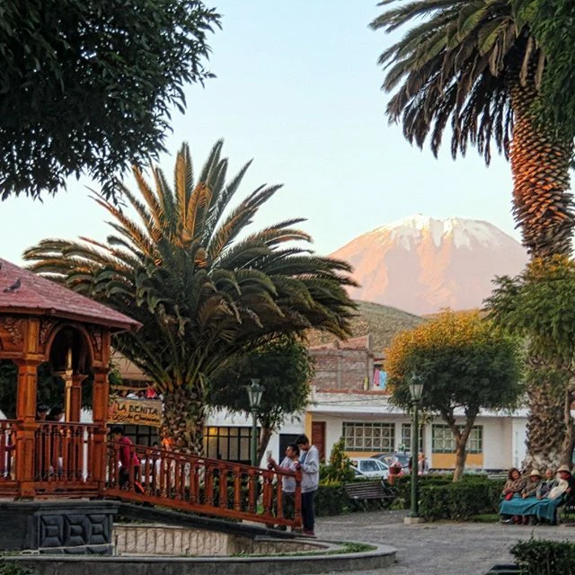 Characato
