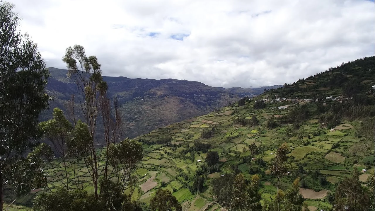 Chavin De Pariarca