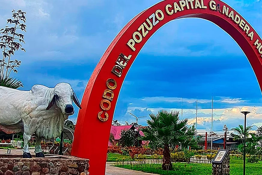 Codo Del Pozuzo