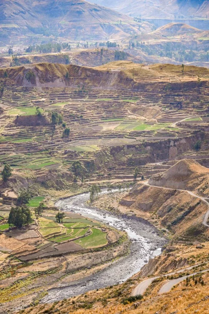Colca