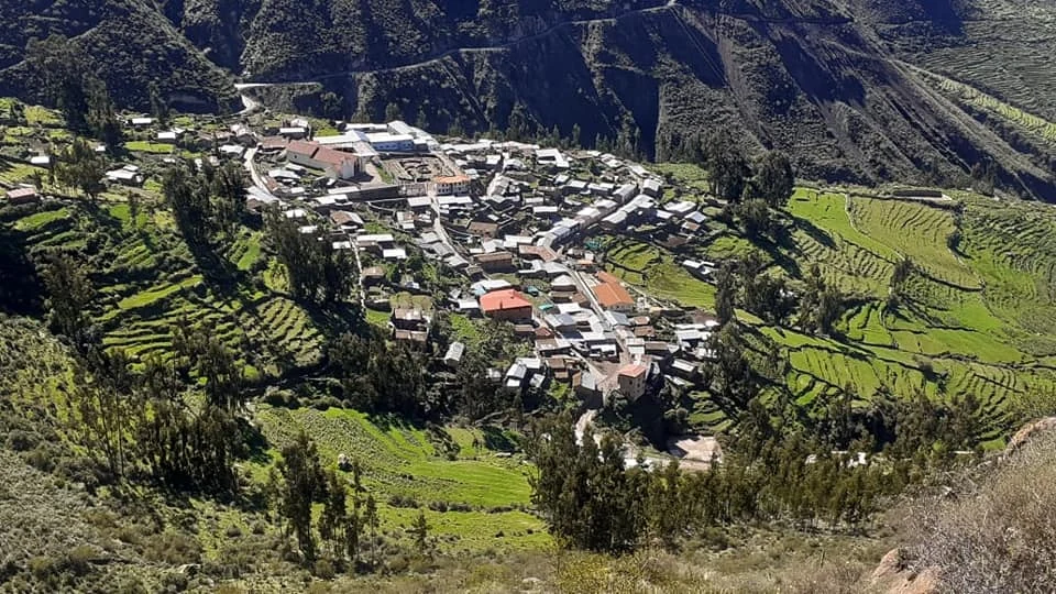Colta