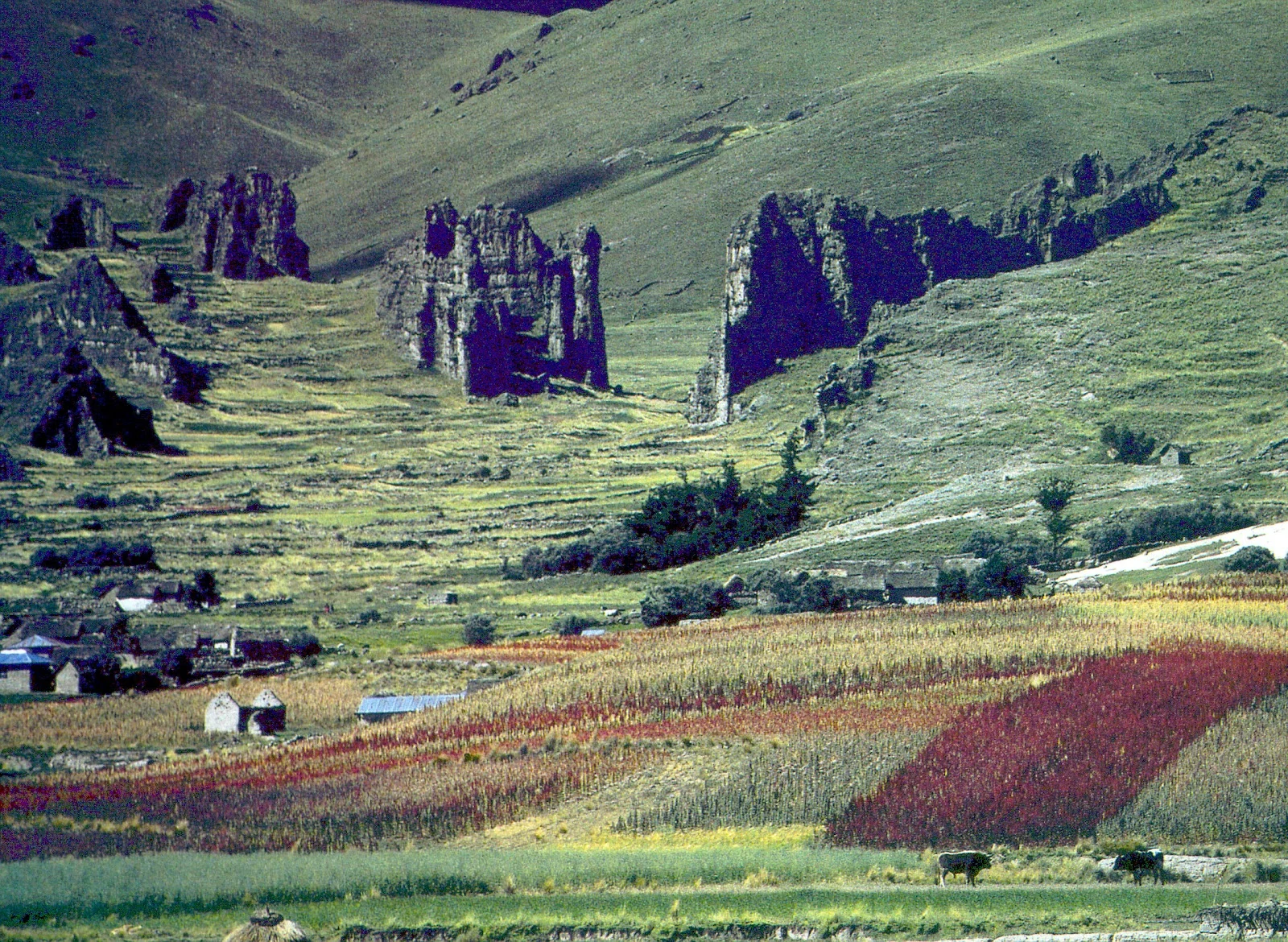 Conduriri