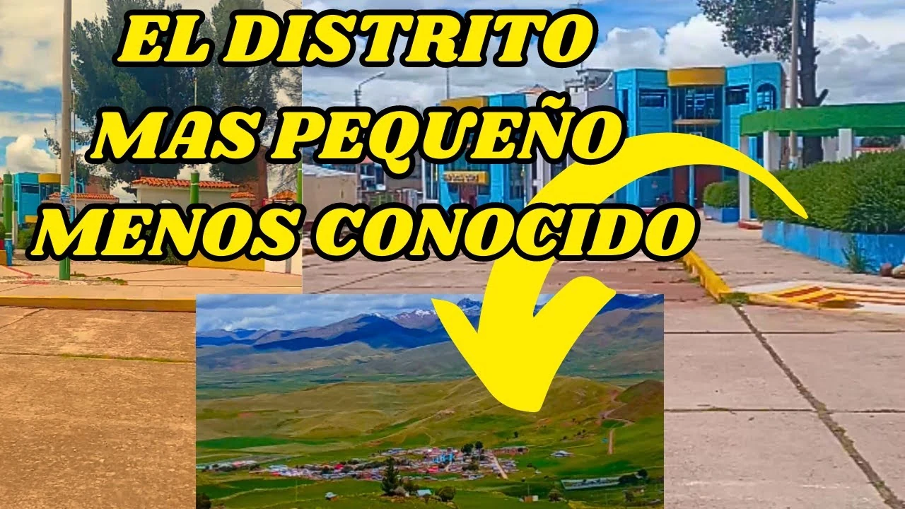 Cupi
