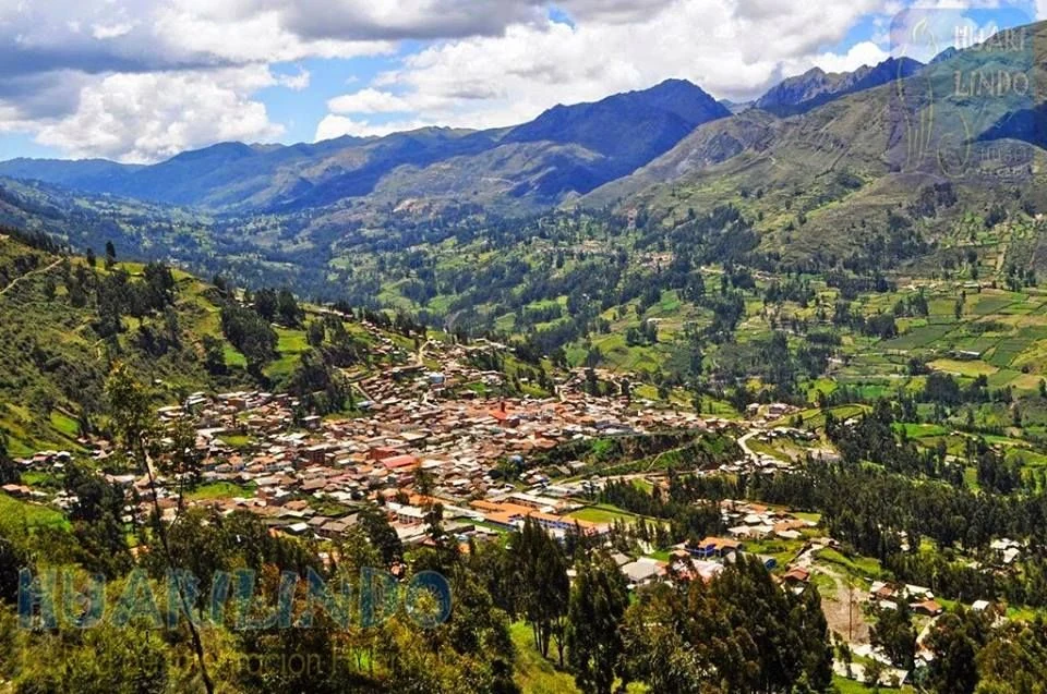 Huachis