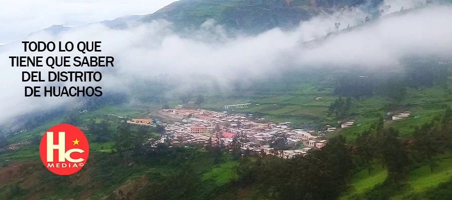 Huachos