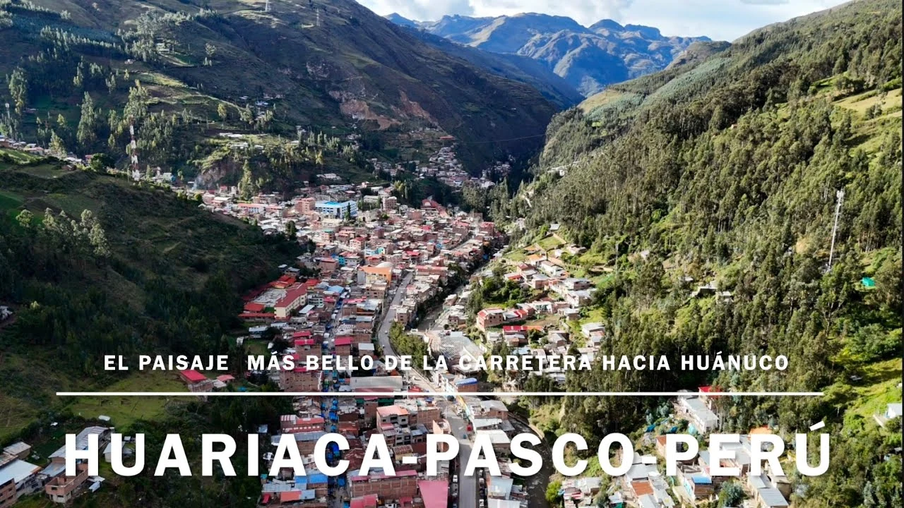 Huariaca