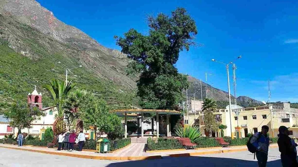 Huaya