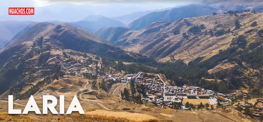 Laria