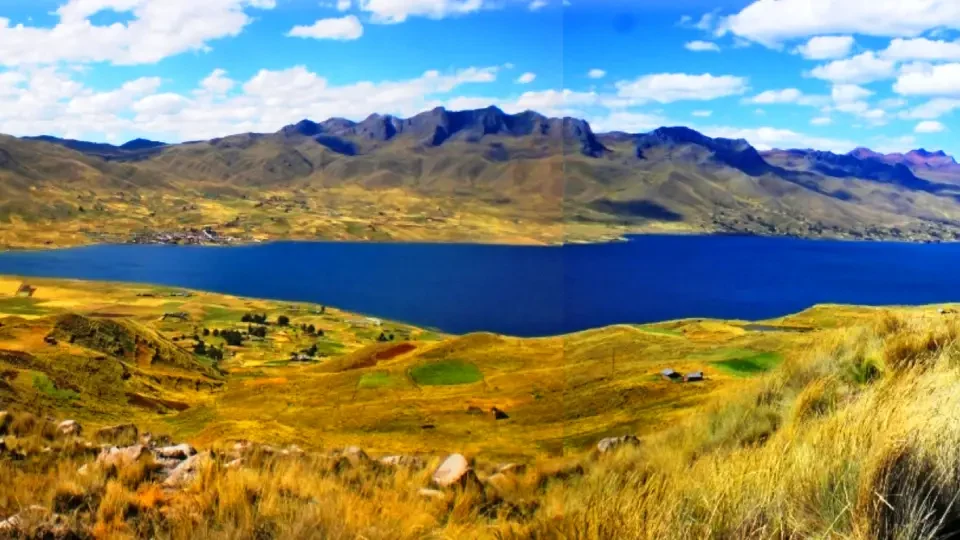 Layo