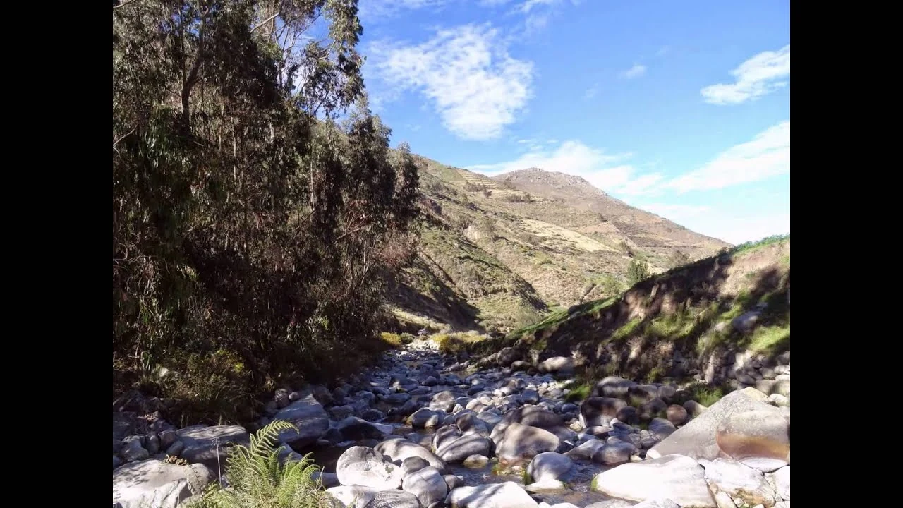 Llipa