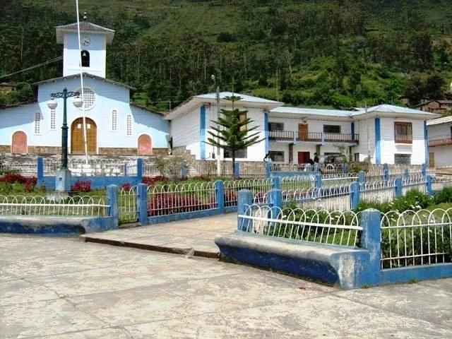 Longotea