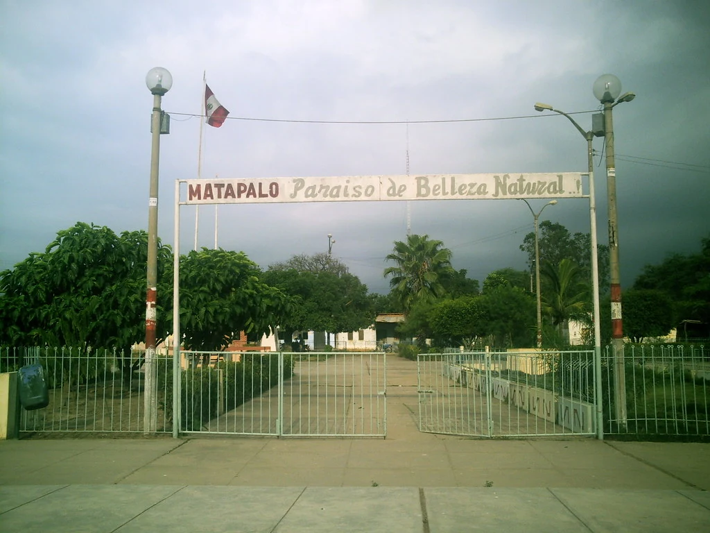 Matapalo