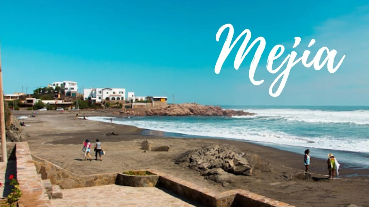 Mejia