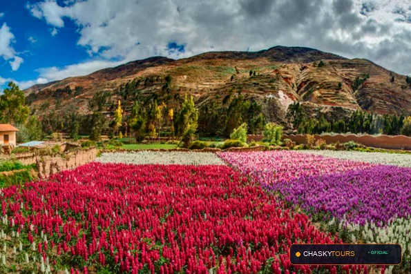 Mirador Turístico Natural de La Primavera foto 4