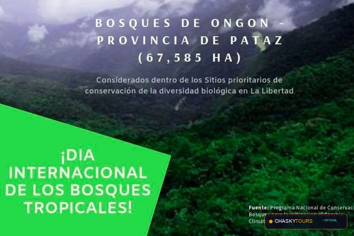 Mirador Turístico Natural de Ongon foto 1