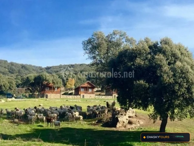 Mirador Turístico Natural de Talavera foto 4