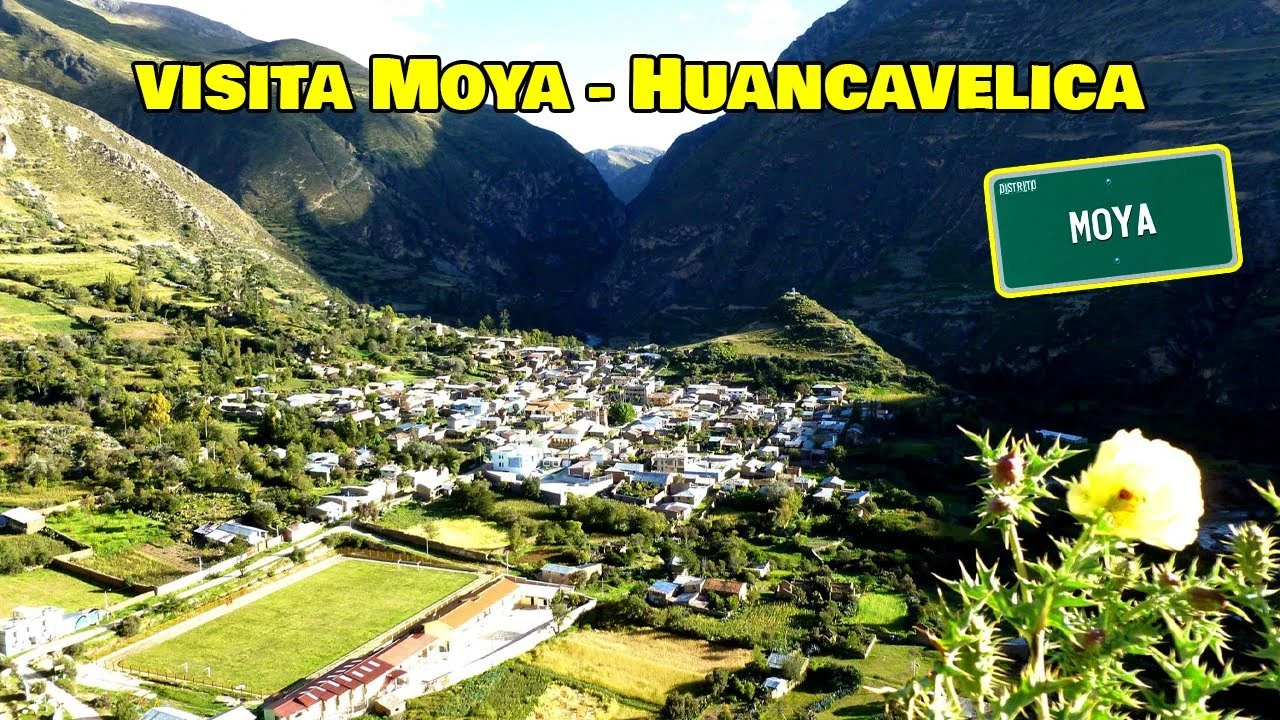 Moya