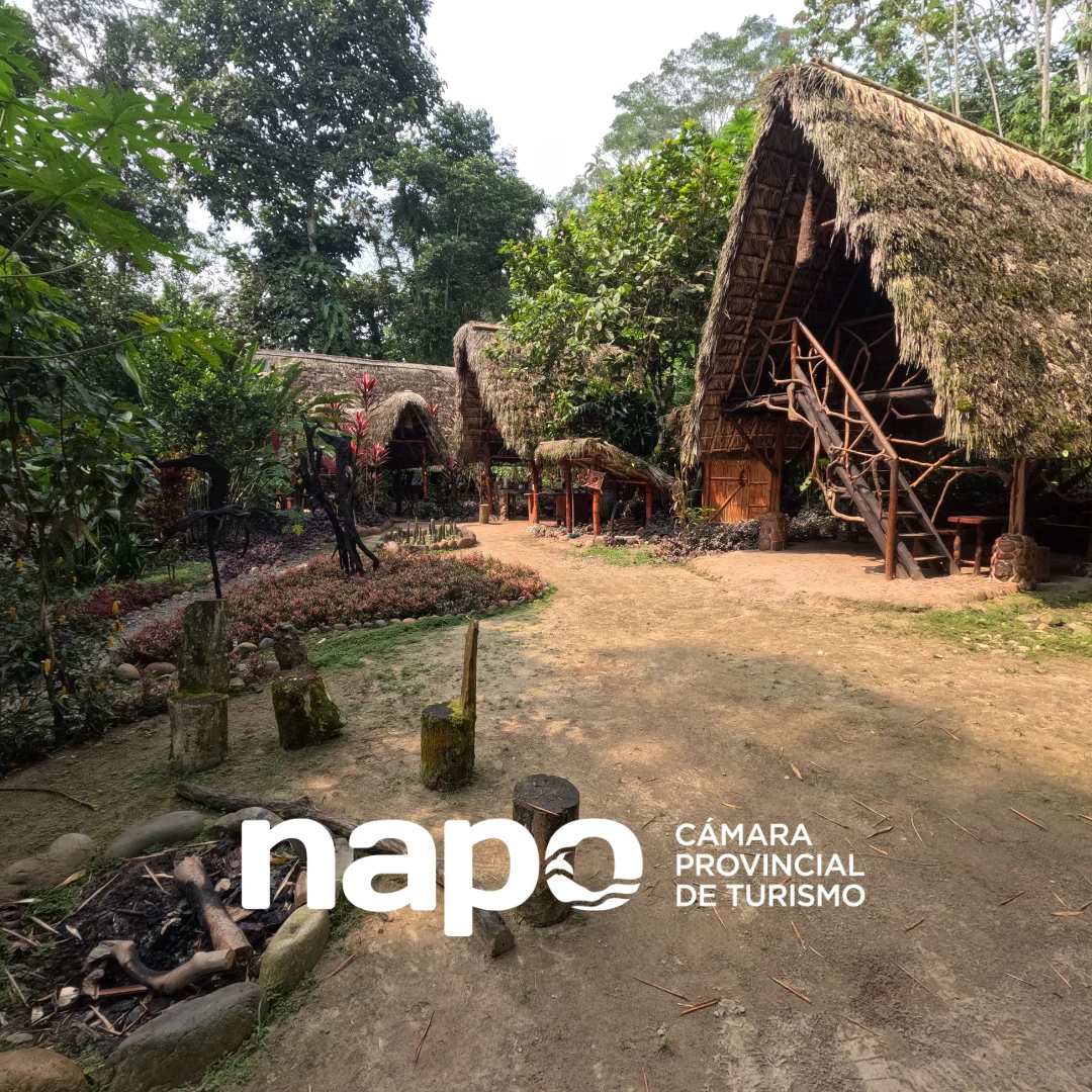 Napo