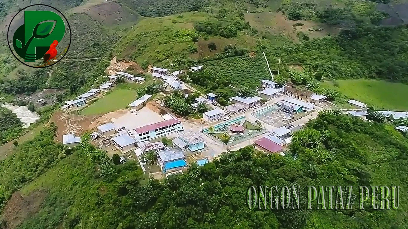 Ongon