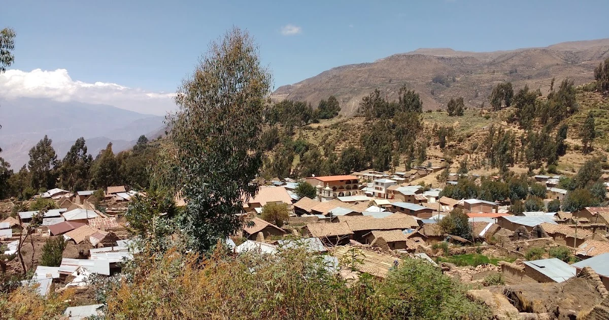 Oyolo