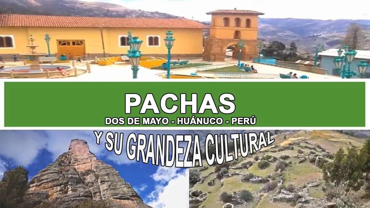 Pachas