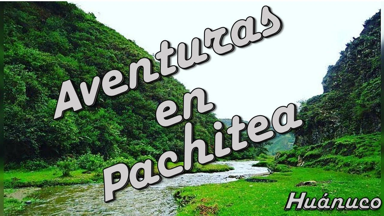 Pachitea