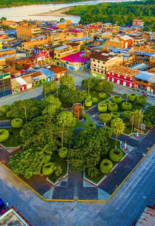 Pajarillo