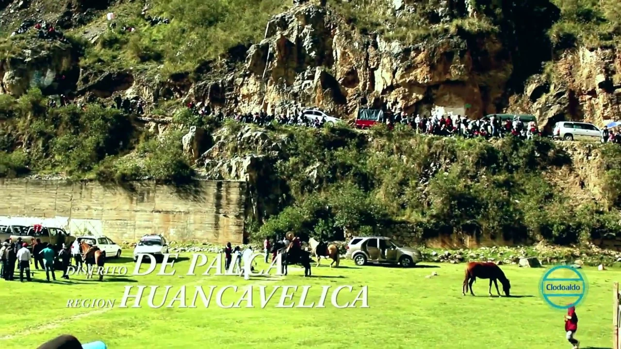 Palca