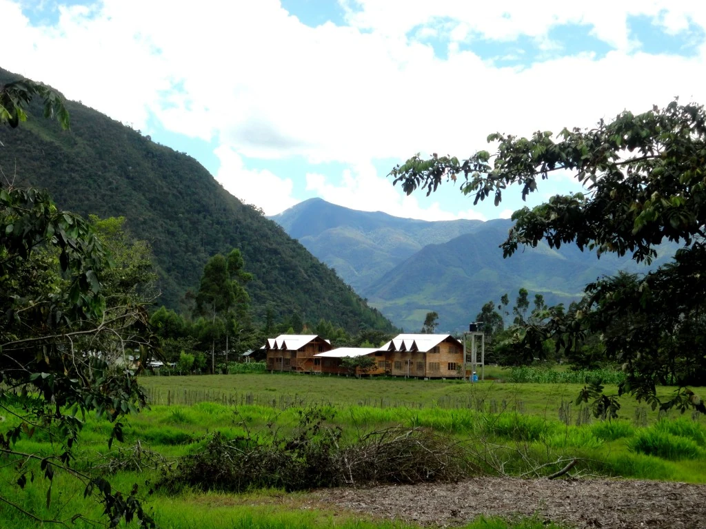 Palcazu