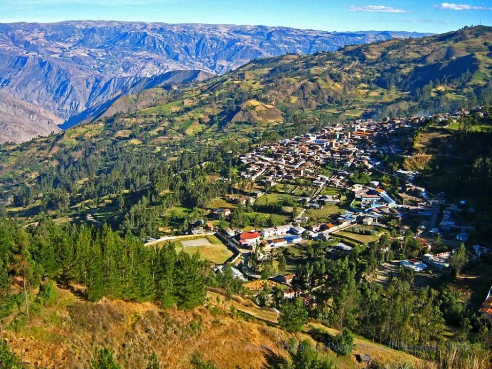 Pallasca
