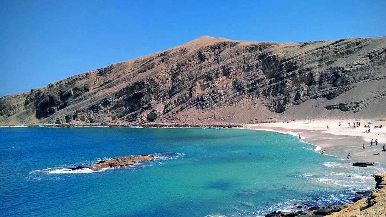 Pisco