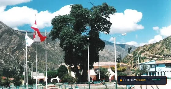 Plaza Mayor y Templo Matriz de Capaya