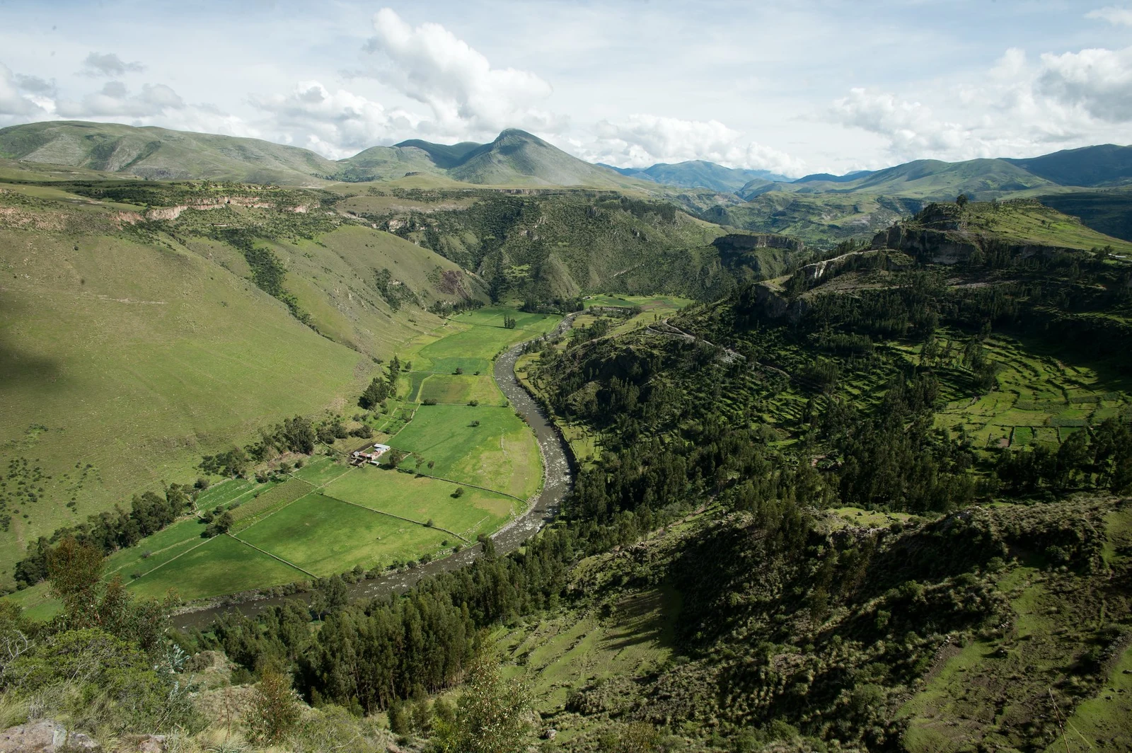 Quiqota