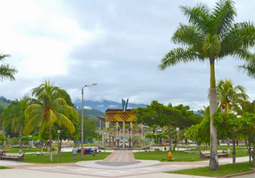 Rio Negro