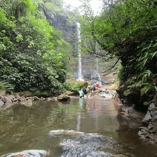 Rio Tambo