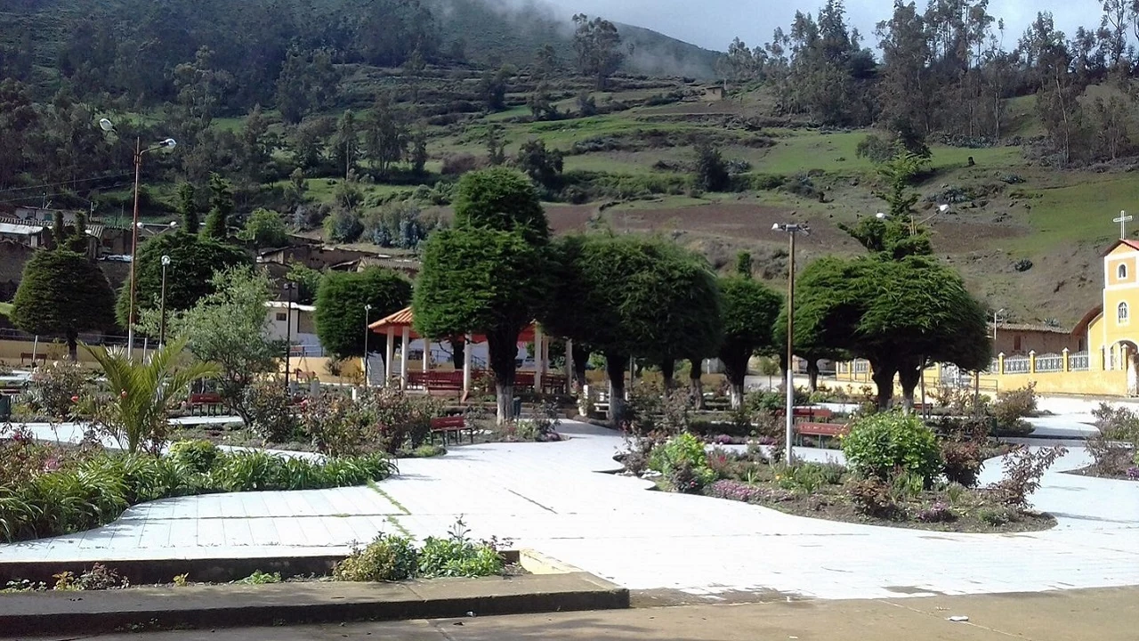 Succha