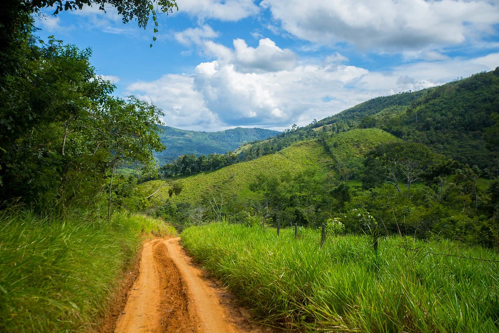 Tingo De Ponasa