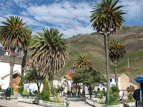 Virundo