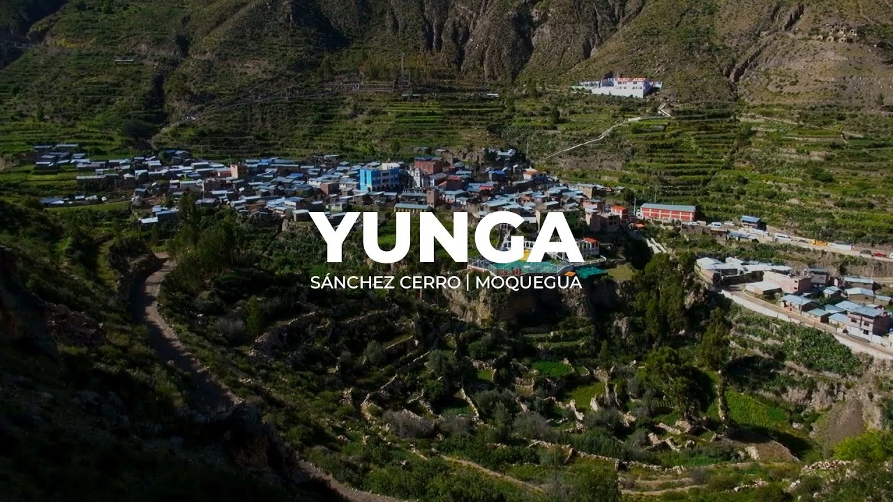 Yunga