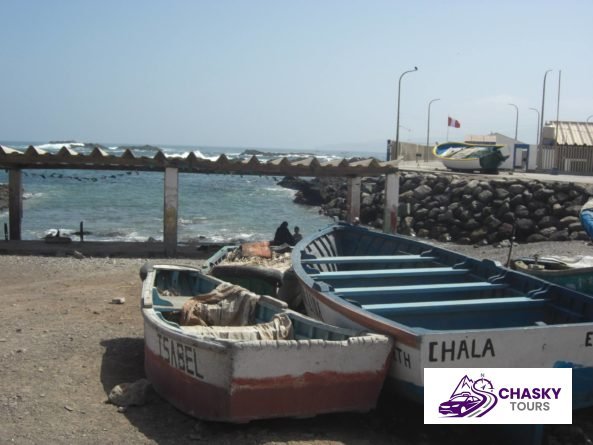 Chala - Foto 2