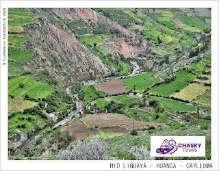 Huanca - 写真 4