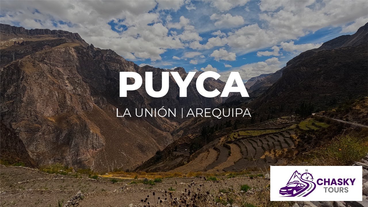 Puyca - Fotografía 5