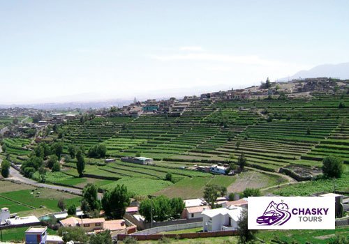 Sabandia - Foto 2