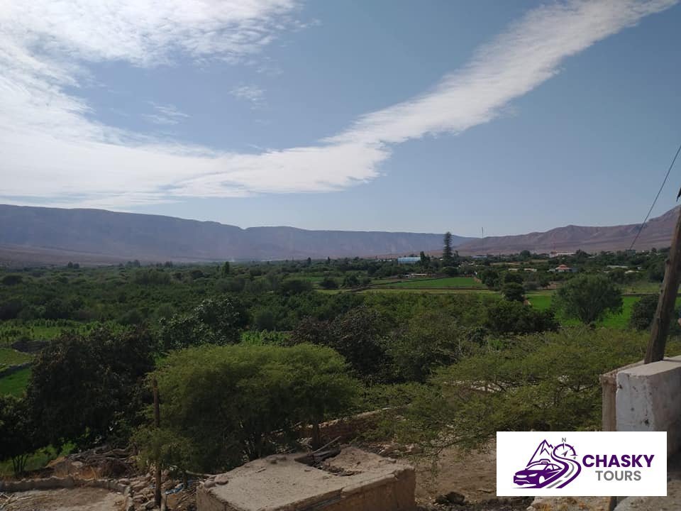 Yauca - Foto 5