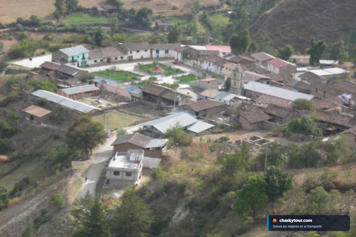 Pichirhua - Fotografía 6