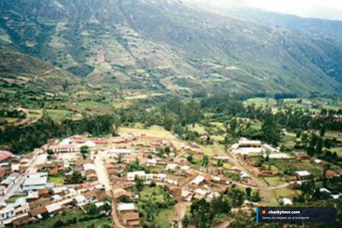 Pichirhua - Fotografía 7