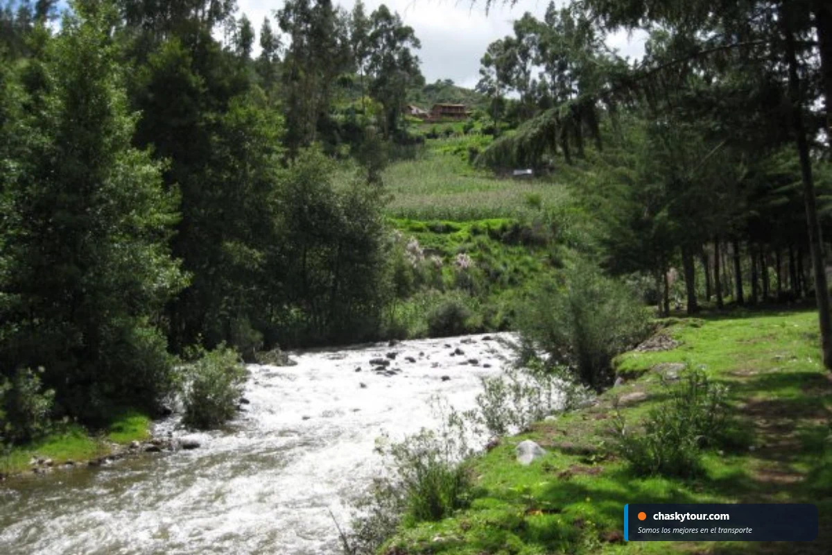 Huancaray - Foto 6
